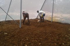 andre-and-clifford-leveling-greenhouse-soil