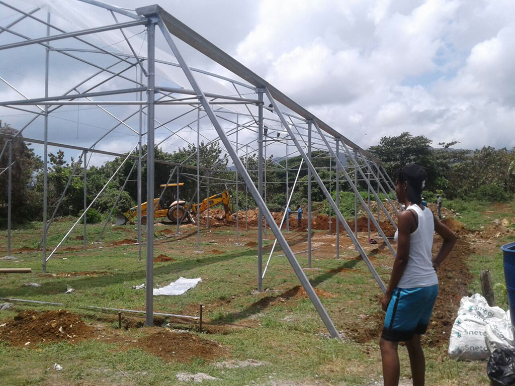 greenhouse-construction-stage-1