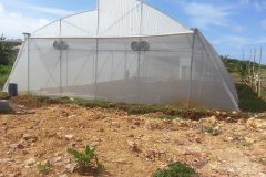rear-view-of-greenhouse
